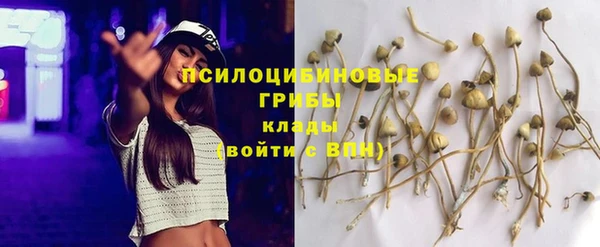 метадон Армянск