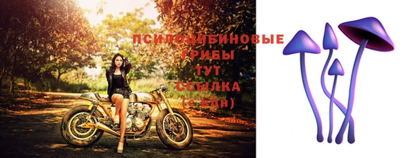трава Арсеньев